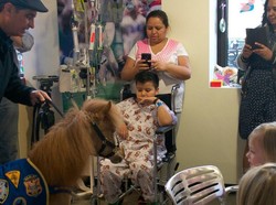 Wah! Pasien Anak-anak di RS Ini Gembira Dijenguk Seekor Kuda Poni