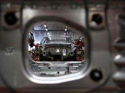 Kawasan Industri Hijau Mau Dibangun di Kaltara, Harta Karunnya Segudang