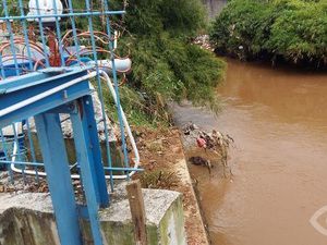 Mayat Bayi Laki-laki Ditemukan di Kali Pesanggrahan