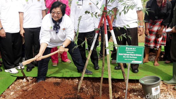 Menteri Siti Nurbaya Tanam Pohon di Cipali