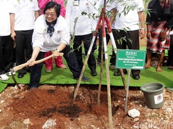 Menteri Siti Harap Hutan Rakyat Bermanfaat Bagi Lingkungan dan Ekonomi Warga
