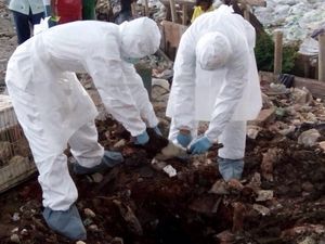 Ada Wabah Flu Burung, Korea Selatan Jadi Krisis Pasokan Telur