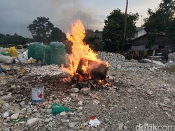 Ketua RT di Cilandak soal Flu Burung: Untung Warga dan Pemda Cepat Bertindak