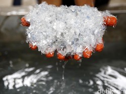 Tren Sampah Plastik Naik 15%, Cemari Sungai hingga Laut