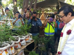 Lapas di Kendal ini Manfaatkan Lahan Kosong dengan Pertanian dan Perkebunan