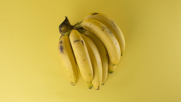 Ilustrasi buah pisang