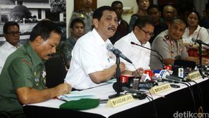 Luhut Minta Aksi Anarkis Sopir Taksi Tak Terulang Lagi