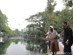 Air akan Diambil Proyek PAM 5 Daerah, Debit Umbulan Terus Menyusut