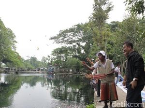 Air akan Diambil Proyek PAM 5 Daerah, Debit Umbulan Terus Menyusut Air akan Diambil Proyek PAM 5 Daerah, Debit Umbulan Terus Menyusut