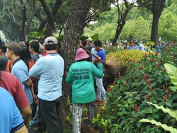 Emosi Bu Tuti Kepada Pendemo: Jangan Injak Tanaman, Saya Capek Ngerawatnya!
