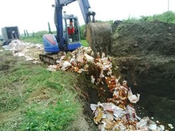 Buah, Benih Sayuran, Bunga dan Bibit Tanaman Ilegal Dimusnahkan