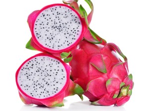 Cara Menanam Buah Naga di Pot supaya Cepat Berbuah Cara Menanam Buah Naga di Pot supaya Cepat Berbuah