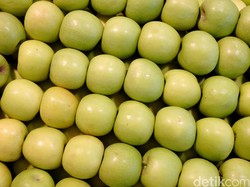 Ini Buah yang Cocok Jadi Teman Pendamping Saat Mudik