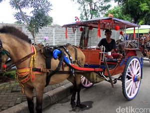 Pemprov Larang Delman Operasi di Sekitar Pacuan Kuda Pulomas