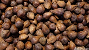 6 Oleh-oleh Khas Sleman yang Wajib Dicoba, Ada Buah-Hidangan Lezat