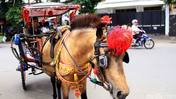 Delman Masih Eksis di Era Transportasi Online
