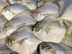 Ditemukan China di Seafood Asal Indonesia, COVID-19 Menular Lewat Makanan?