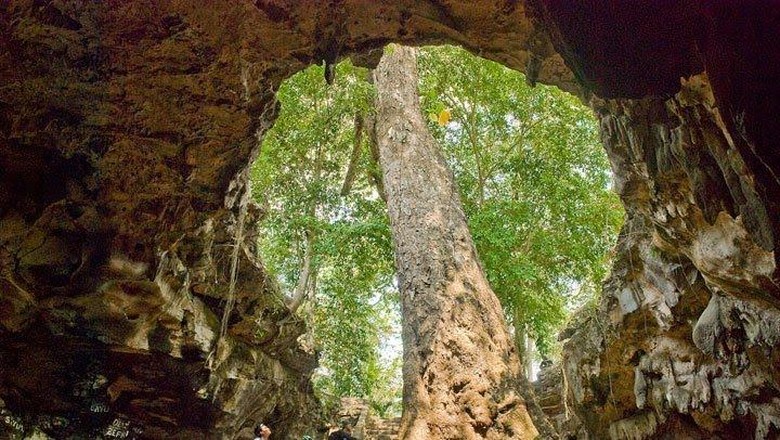 Foto: gunungkidulkab.go.id Foto: gunungkidulkab.go.id