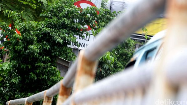 Rambu Lalu Lintas Tertutup Pohon