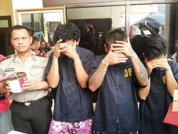 Tanam Ganja di Pot, Pemuda Bertato ini Diamankan