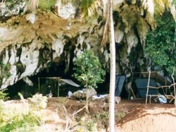 Tulang Satwa di Situs Prasejarah Gua Braholo Rongkop: Ular hingga Gajah