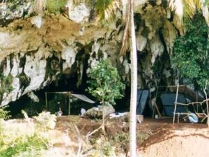 Tulang Satwa di Situs Prasejarah Gua Braholo Rongkop: Ular hingga Gajah Tulang Satwa di Situs Prasejarah Gua Braholo Rongkop: Ular hingga Gajah