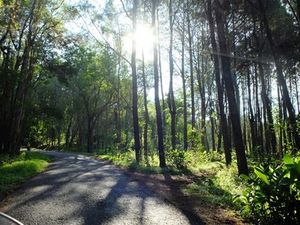 Lolos SBMPTN di Yogya, Ayo Jalan-Jalan ke Sini!