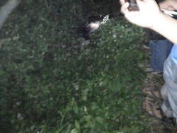 Mayat Pria Tanpa Identitas Ditemukan Warga Jl Tol Lingkar Luar Petukangan