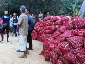 Penyelundupan 450 Karung Bawang Merah Ilegal Produk Thailand di Langkat Digagalkan