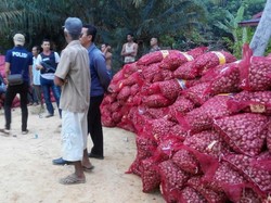 Penyelundupan 450 Karung Bawang Merah Ilegal Produk Thailand di Langkat Digagalkan
