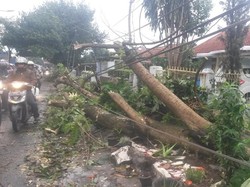 Dihantam Hujan Angin, 83 Rumah di Kabupaten Bandung Rusak