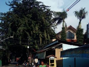 Seorang Pengemis Mengaku Ayah Marshanda Ditangkap Dinas Sosial