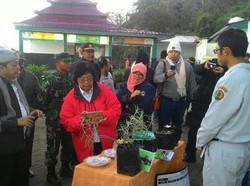 Menteri Siti Nurbaya Tandur Edelweis di Penanjakan Bromo