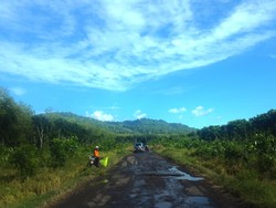 Menteri LHK Ingin Kembangkan Taman Nasional Alas Purwo