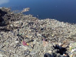 Begini Kondisi Waduk Pluit Dalam Proses Normalisasi: Terlihat Sampah Plastik
