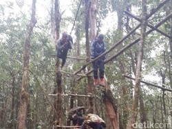 Ini Penampakan Kelompok Santoso Saat Berlatih Militer di Hutan Poso