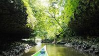 Pesona Sungai Pute di Kawasan Karst Rammang-rammang
