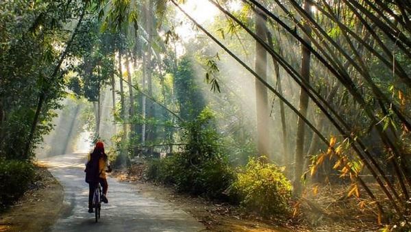 Keindahan Yogyakarta di Balik Kamera