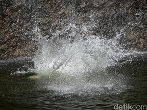 Nakhoda Hilang Diduga Dibuang ABK di Laut gegara Cekcok Tangkapan Cumi Nakhoda Hilang Diduga Dibuang ABK di Laut gegara Cekcok Tangkapan Cumi