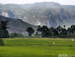 Bertani Sambil Jaga Lingkungan Bisa Kok! Ini Buktinya