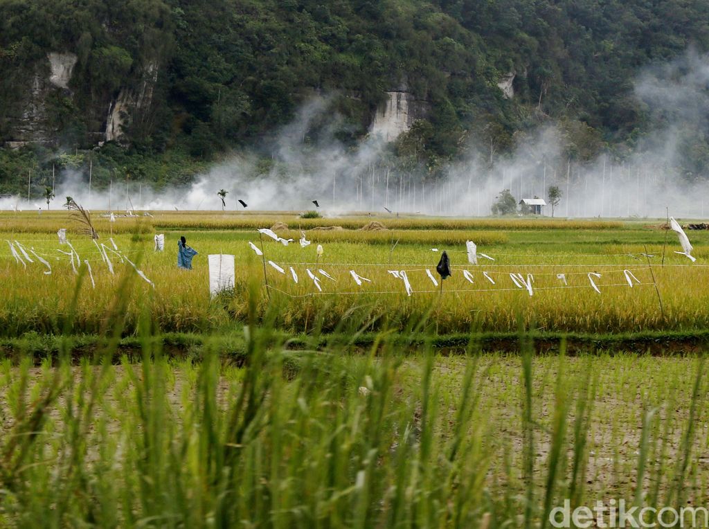 SPI: 37 Kasus Konflik Agraria Mencuat Sepanjang 2020, 4 Orang Tewas SPI: 37 Kasus Konflik Agraria Mencuat Sepanjang 2020, 4 Orang Tewas