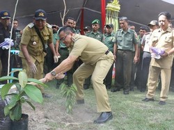 Sedekah Oksigen, Cara Banyuwangi Menjaga Lingkungan