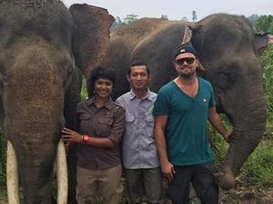 Leonardo DiCaprio Pose Bareng Gajah Sumatera, Kampanyekan Peduli Lingkungan
