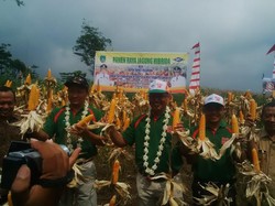 Genjot Produktivitas Jagung, Pemerintah Bagikan Benih Untuk 1 Juta Ha Lahan