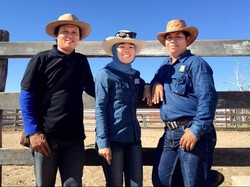 Berguru ke Australia, Profesional Ternak Indonesia Ingin Tingkatkan Populasi Sapi