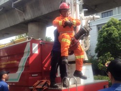 Ini Cerita Penyelamatan Heroik Kucing Kemong di JLNT Antasari