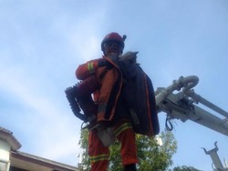 Selamatkan Kucing Nyangkut di JLNT Antasari, Petugas Damkar Kerahkan Skylift