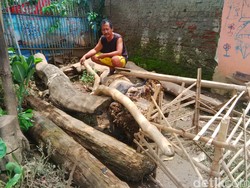 Tak Hanya Sampah Rumah Tangga, Batang Pohon Juga Mengambang di Cikapundung