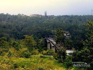 Jembatan Tukad Bangkung di Bali, Diklaim Tertinggi di Asia Tenggara