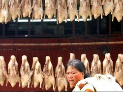 Temuan Makanan Berbahaya di Dunia, Termasuk Usus Ayam di Indonesia